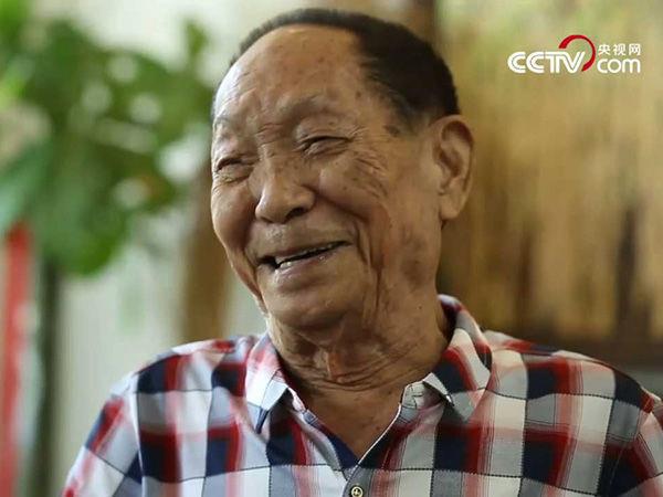 87岁袁隆平再创奇迹：“海水稻”已投入测产